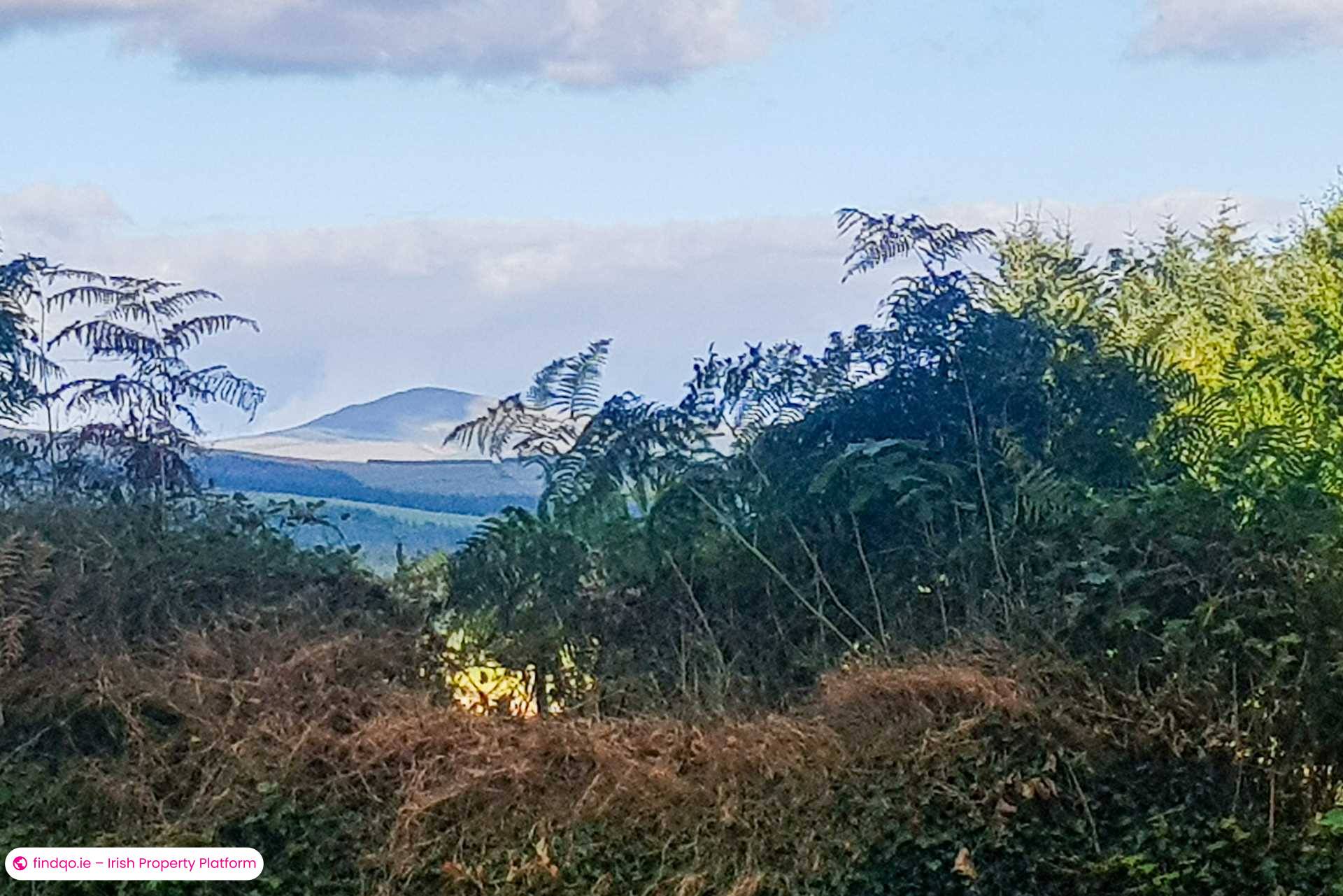 Bungalow for Sale in Rathdangan, Wicklow