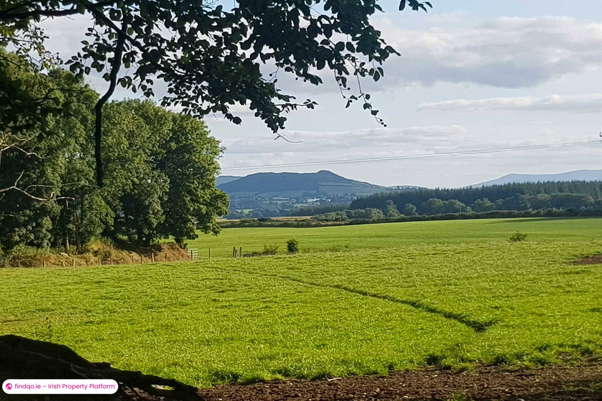Bungalow for Sale in Rathdangan, Wicklow