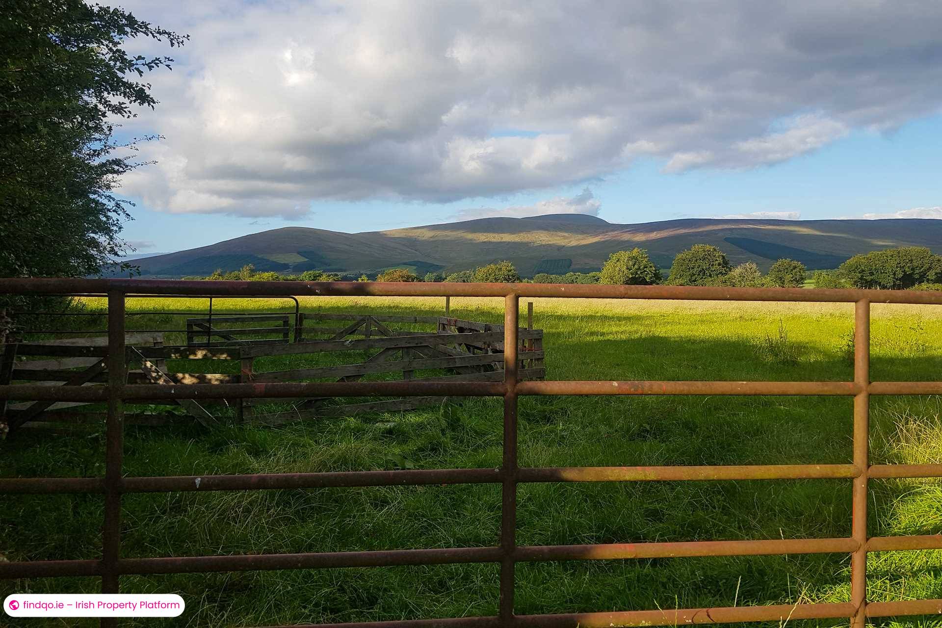 Bungalow for Sale in Rathdangan, Wicklow
