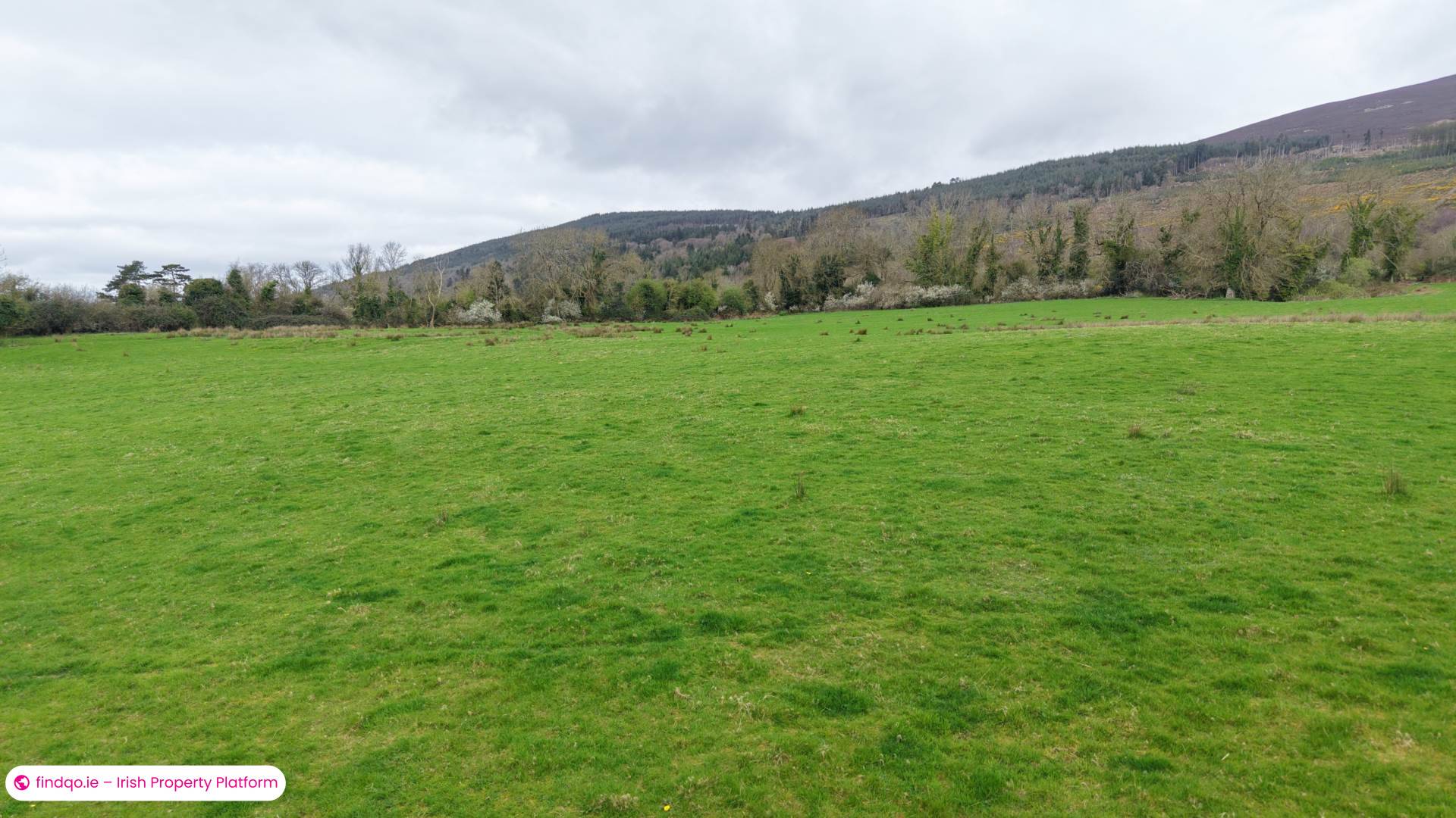 Agricultural Land for Sale in Clonmel, Tipperary
