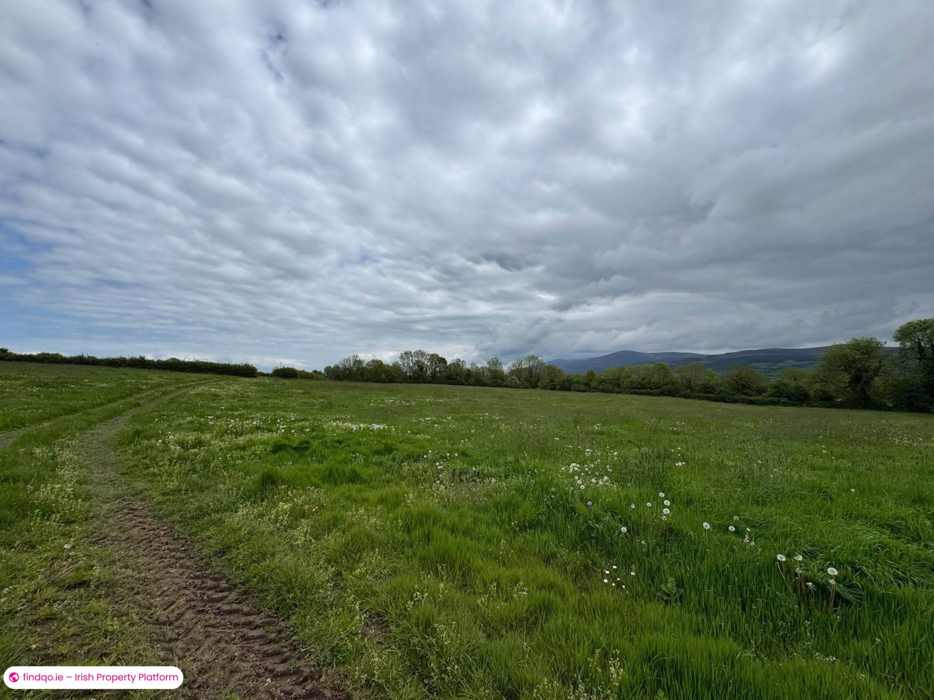 Development Land for Sale in Ballyporeen, Tipperary