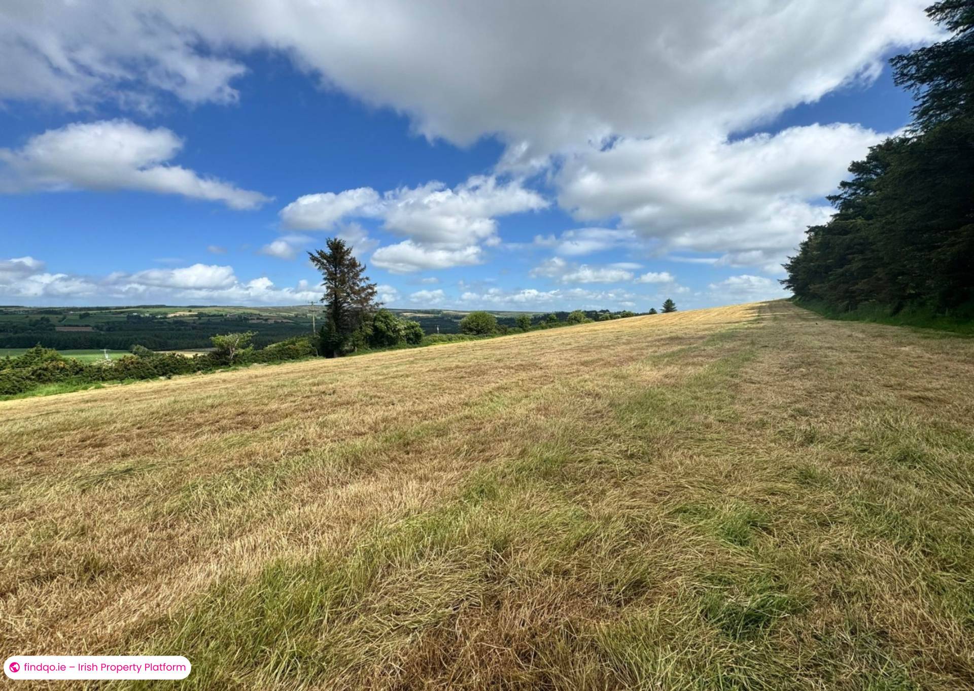 Agricultural Land for Sale in Killarney, Kerry