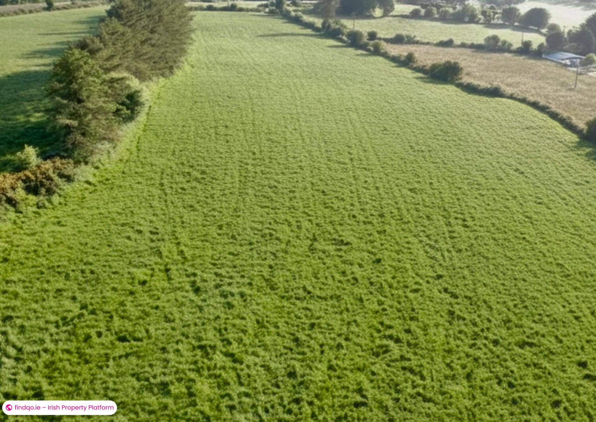 Agricultural Land for Sale in Killarney, Kerry