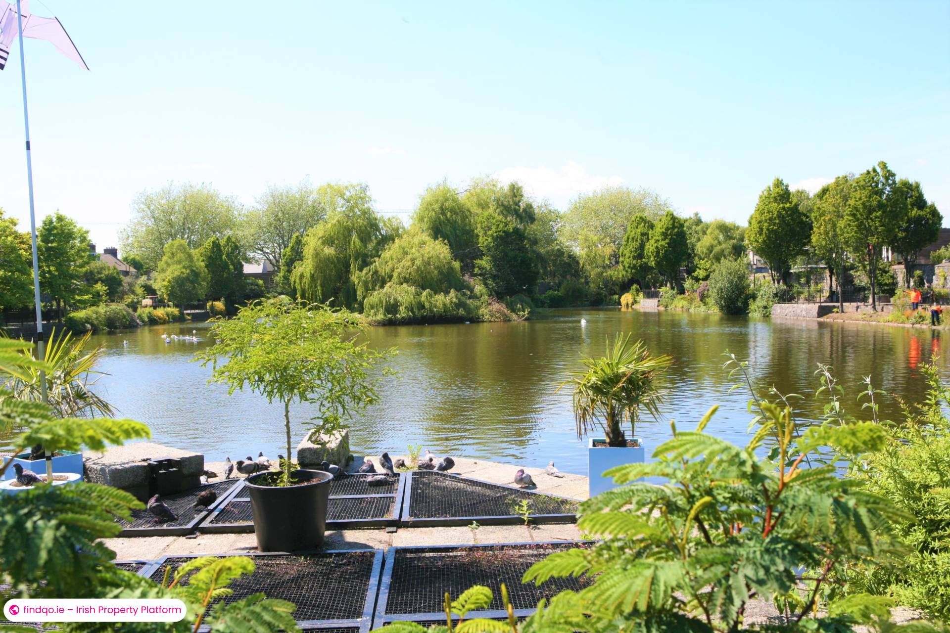 1 Bedroom Apartment for Rent in Blessington Street, Dublin  7