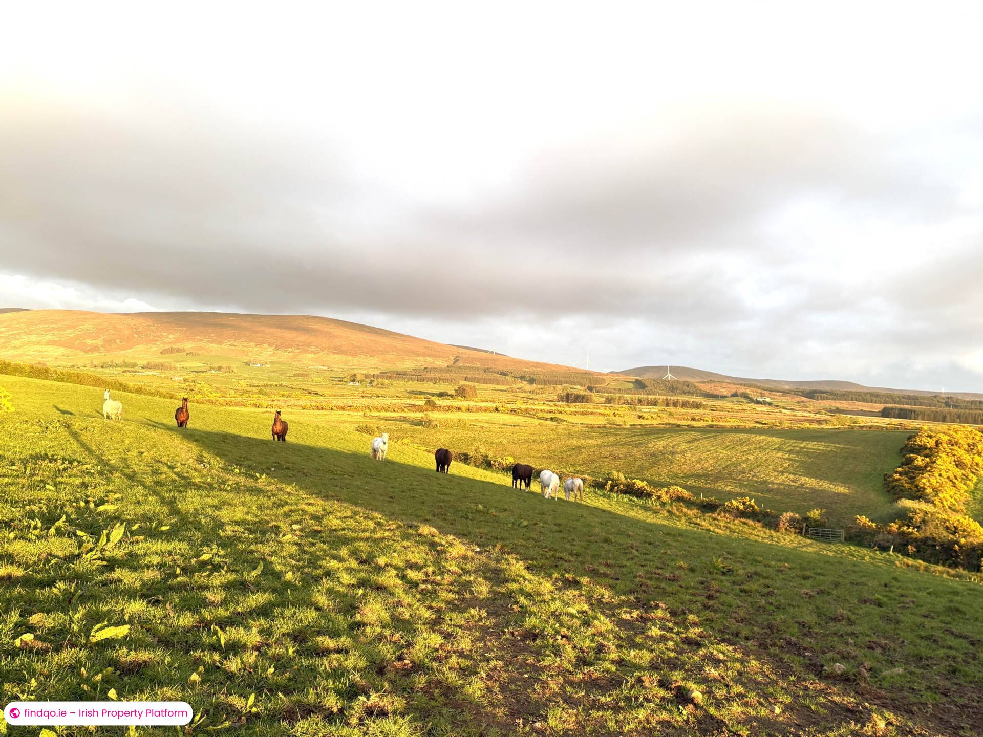 Development Land for Sale in Templeboy, Sligo