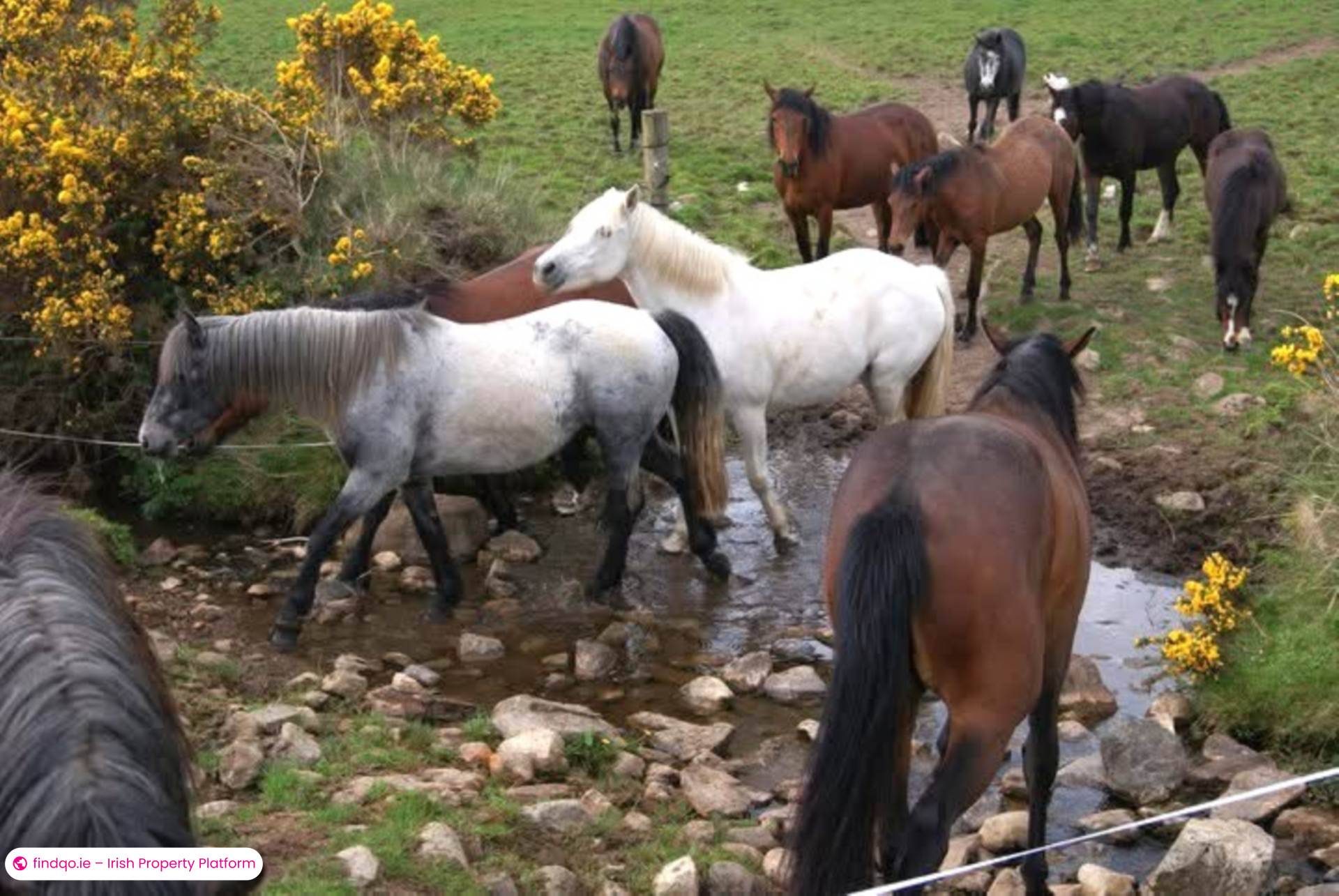 Development Land for Sale in Templeboy, Sligo