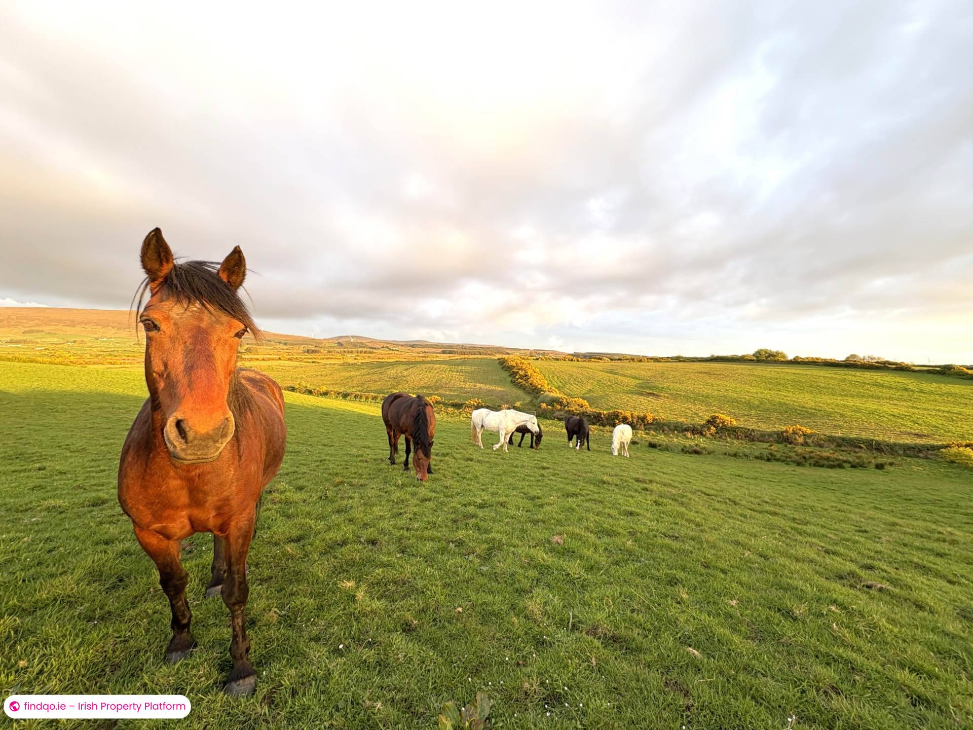 Development Land for Sale in Templeboy, Sligo