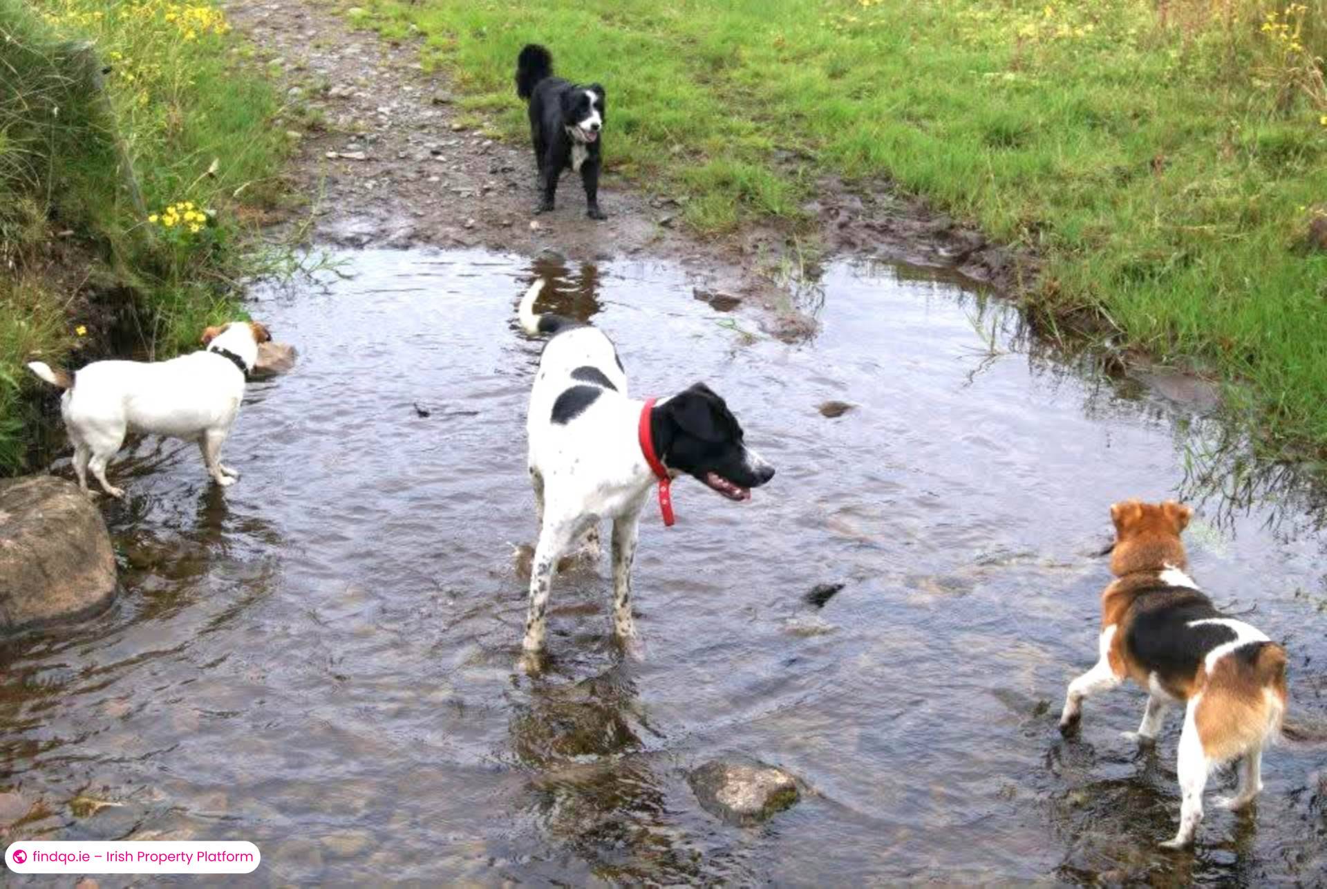 Development Land for Sale in Templeboy, Sligo