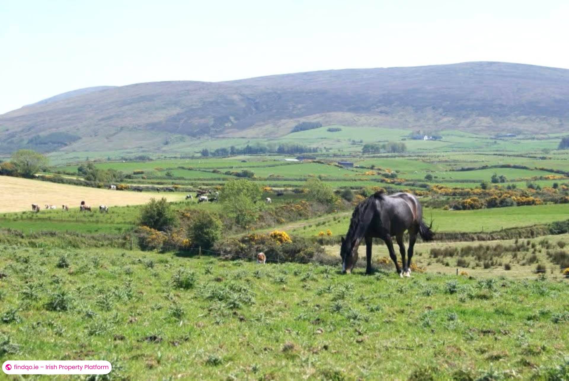 Development Land for Sale in Templeboy, Sligo