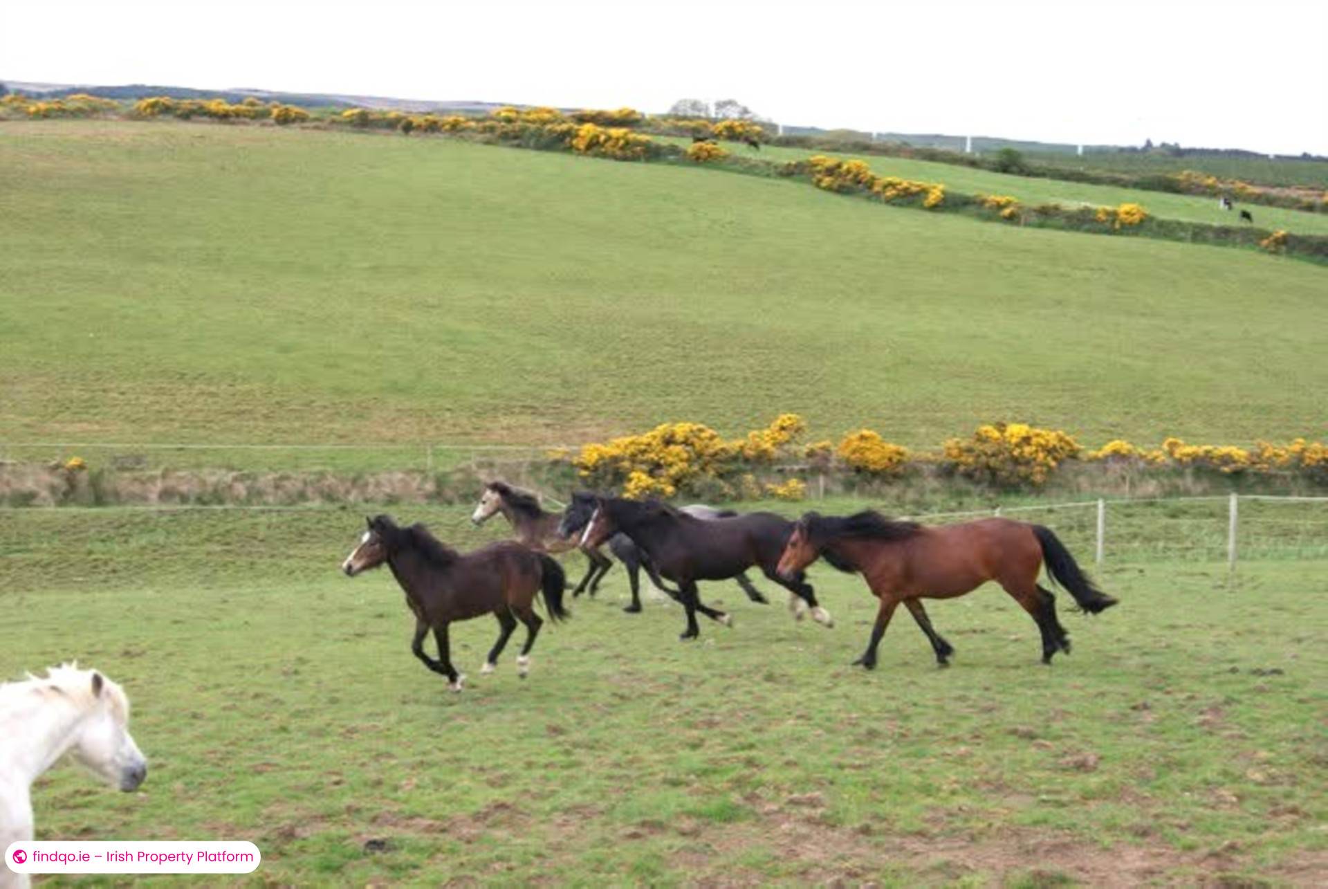 Development Land for Sale in Templeboy, Sligo
