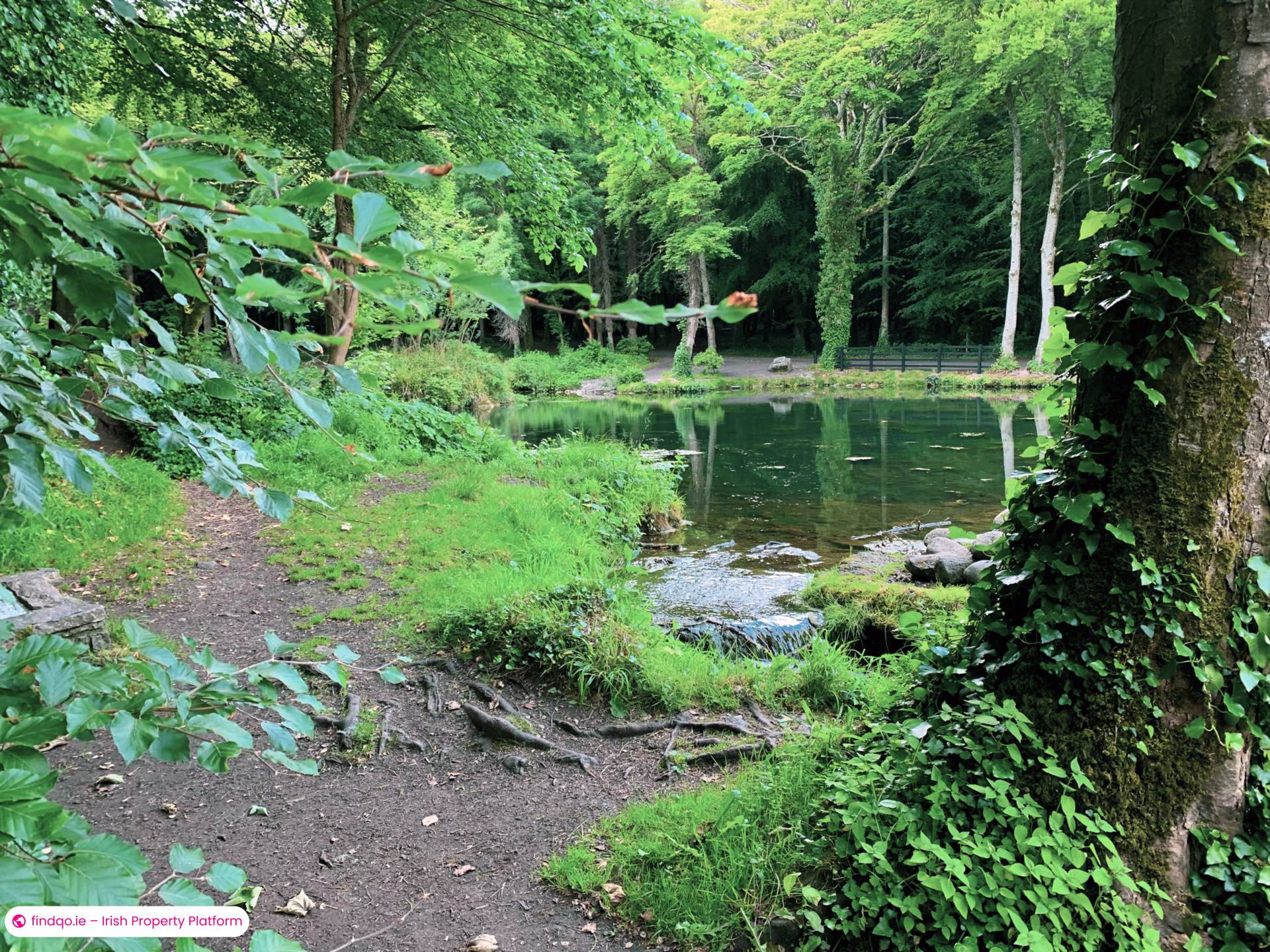 Site for Sale in Ballina, Mayo