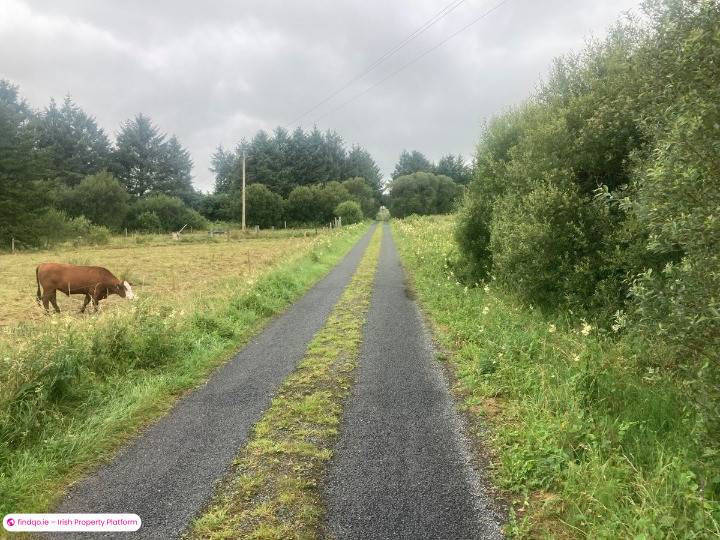 Site for Sale in Loughglynn, Roscommon