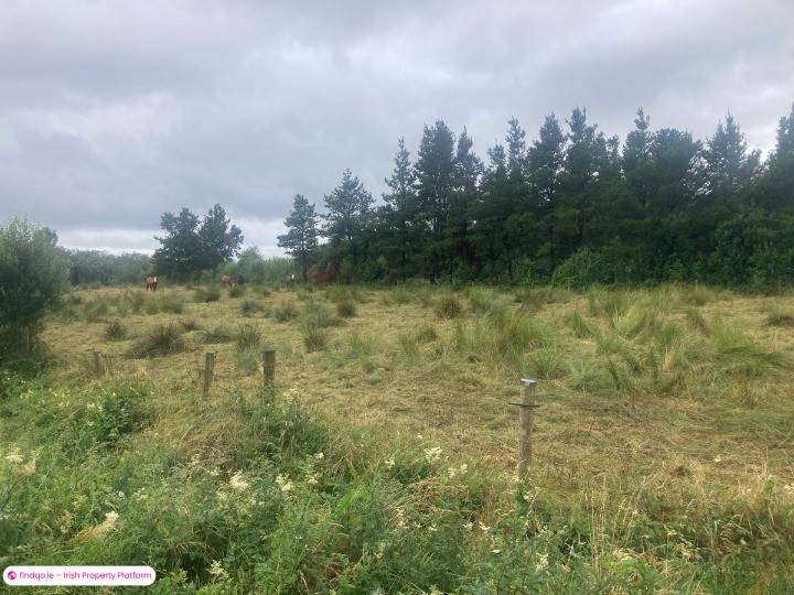 Site for Sale in Loughglynn, Roscommon