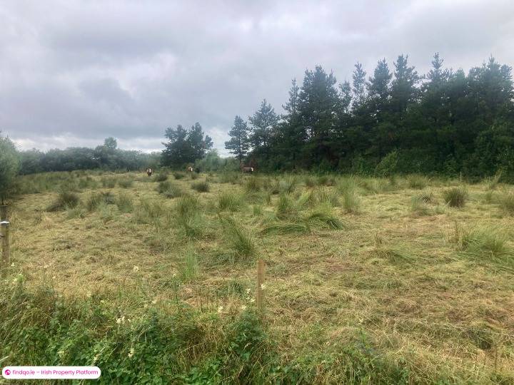 Site for Sale in Loughglynn, Roscommon