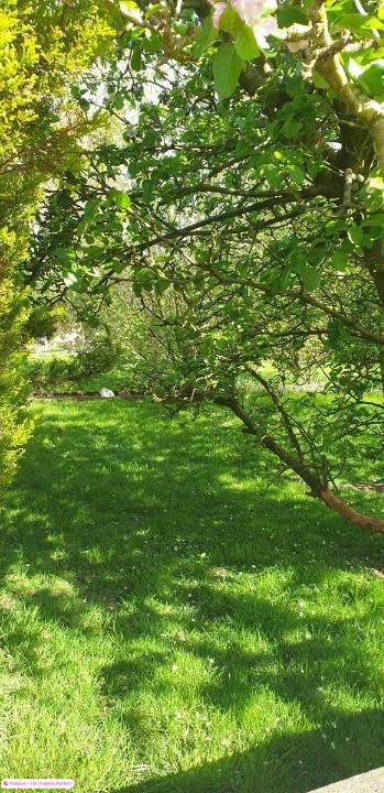 Detached house for Sale in Killorglin, Kerry