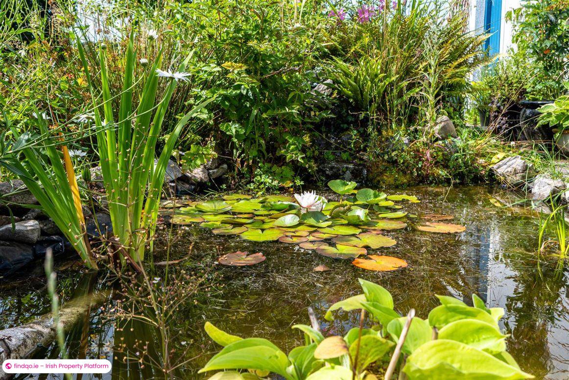 Detached house for Sale in Ballinrobe, Mayo
