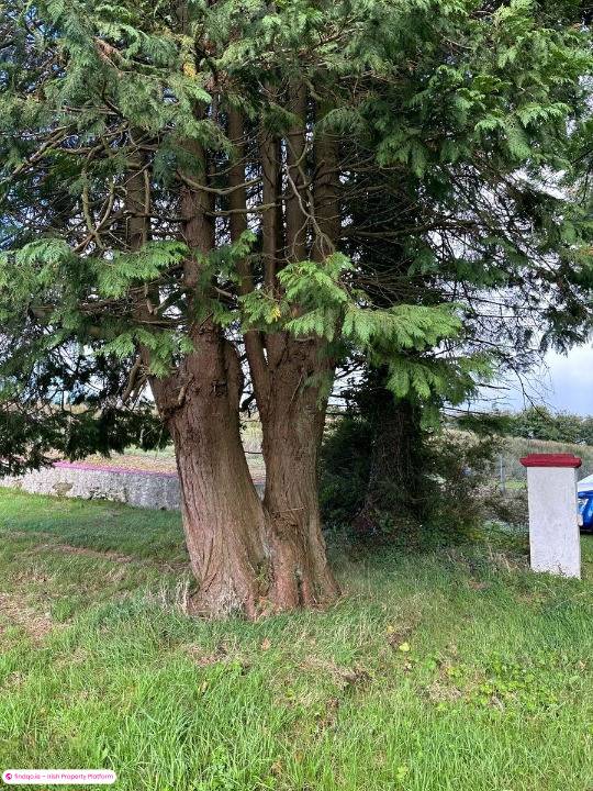 Detached house for Sale in Leggah, Longford