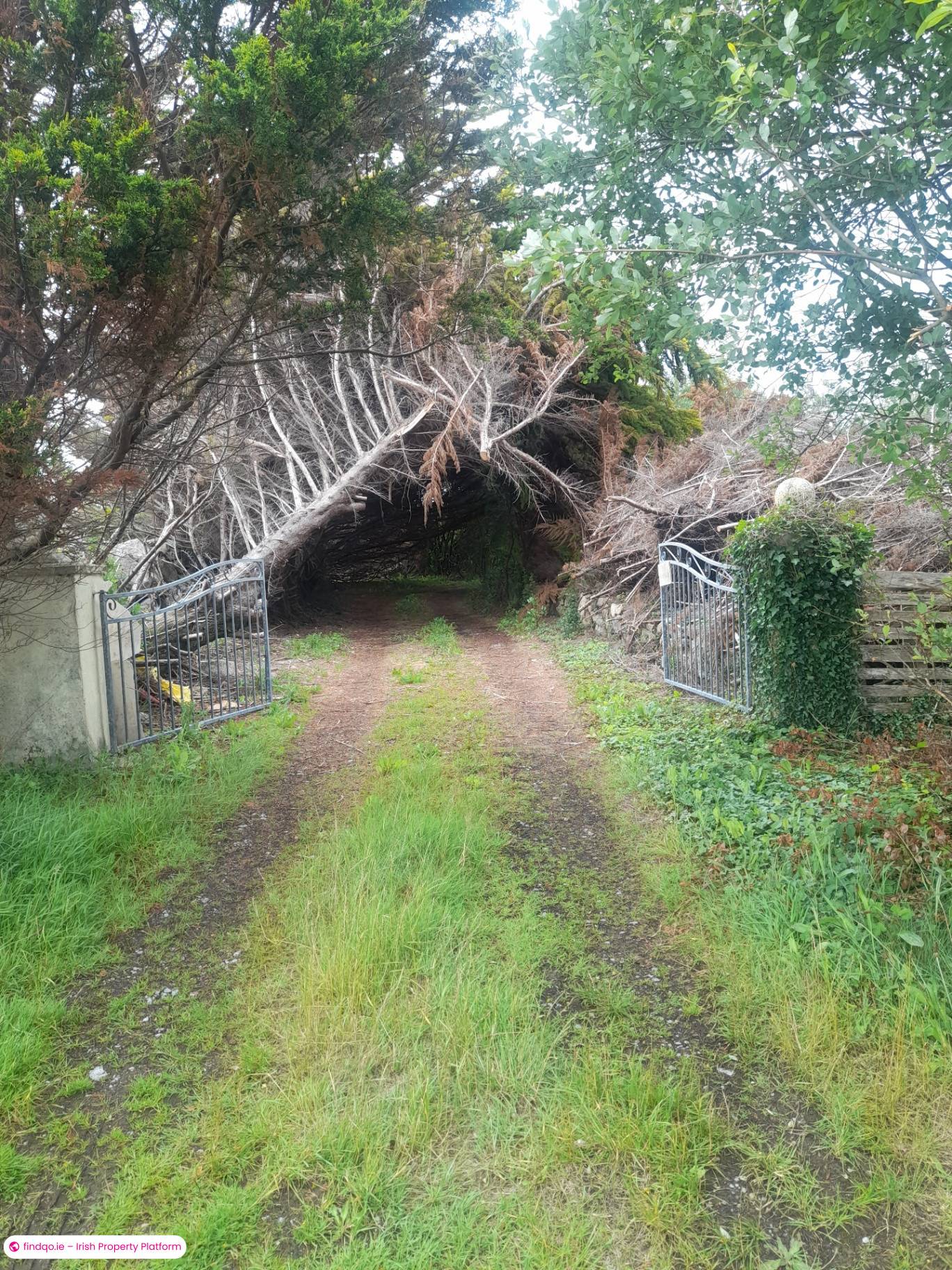 Site for Sale in Furbo, Galway