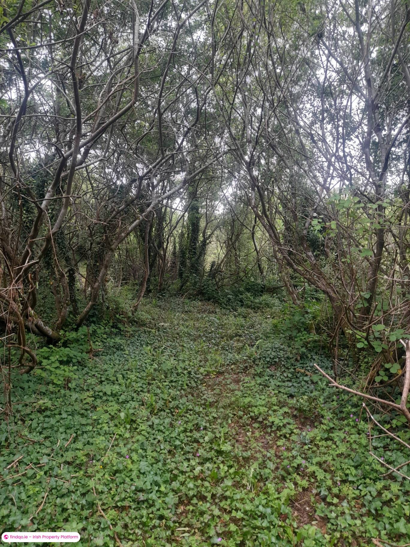 Site for Sale in Furbo, Galway
