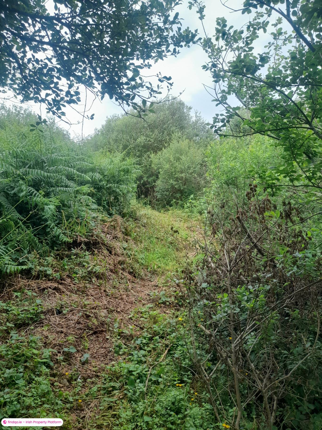 Site for Sale in Furbo, Galway