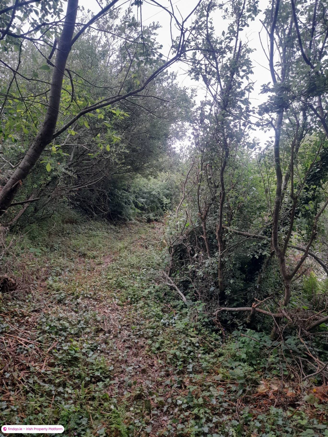 Site for Sale in Furbo, Galway