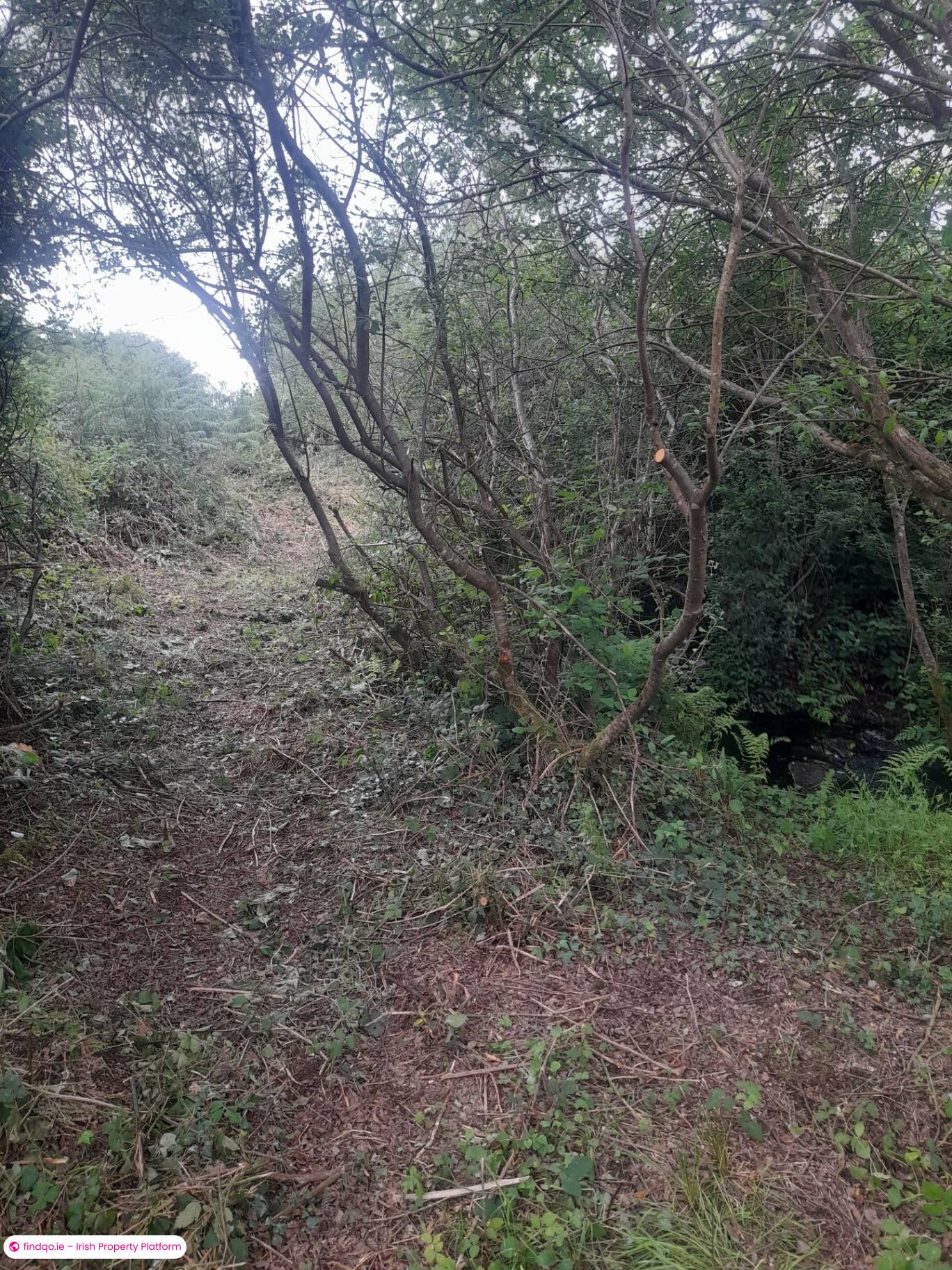 Site for Sale in Furbo, Galway