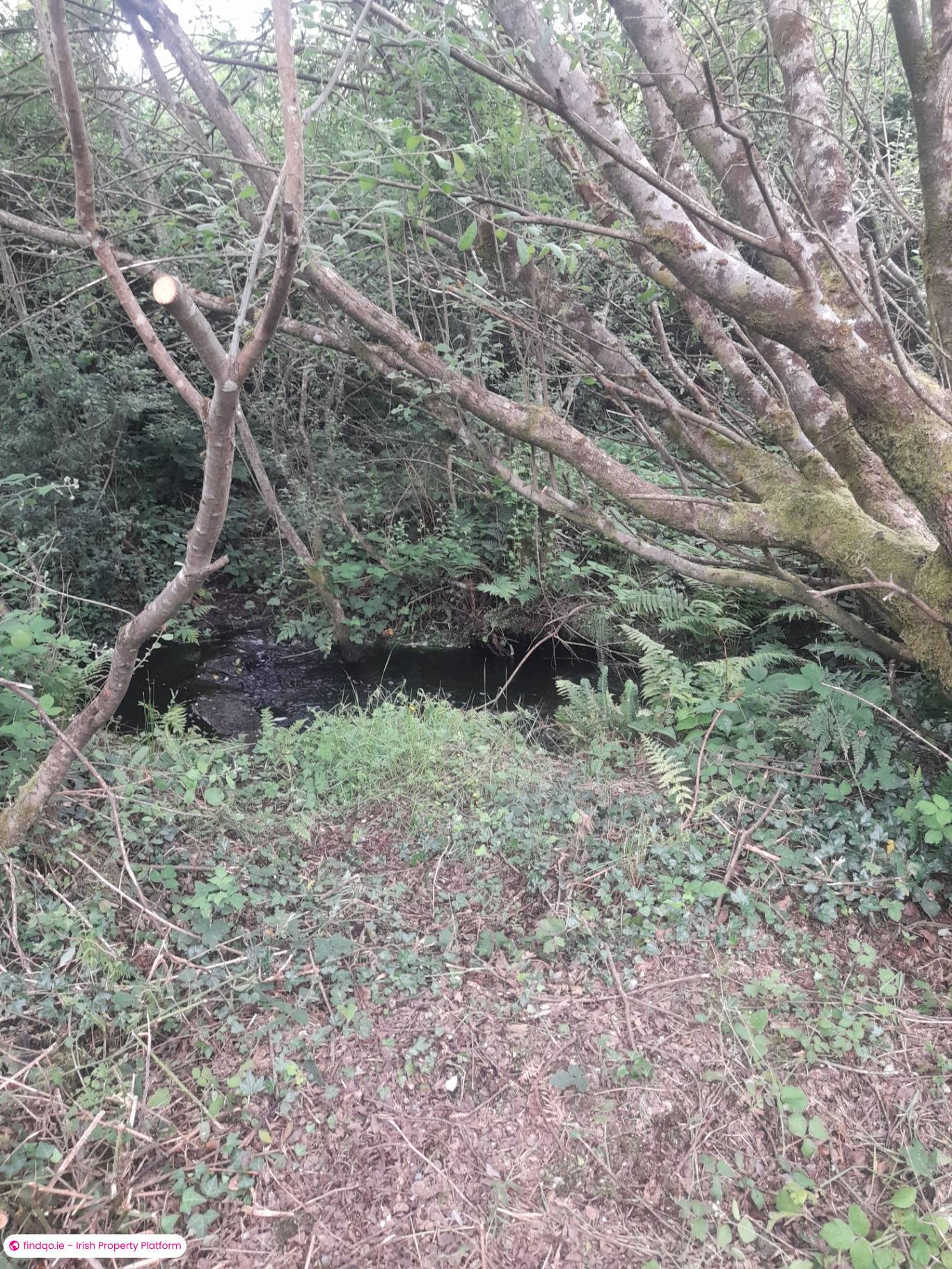 Site for Sale in Furbo, Galway