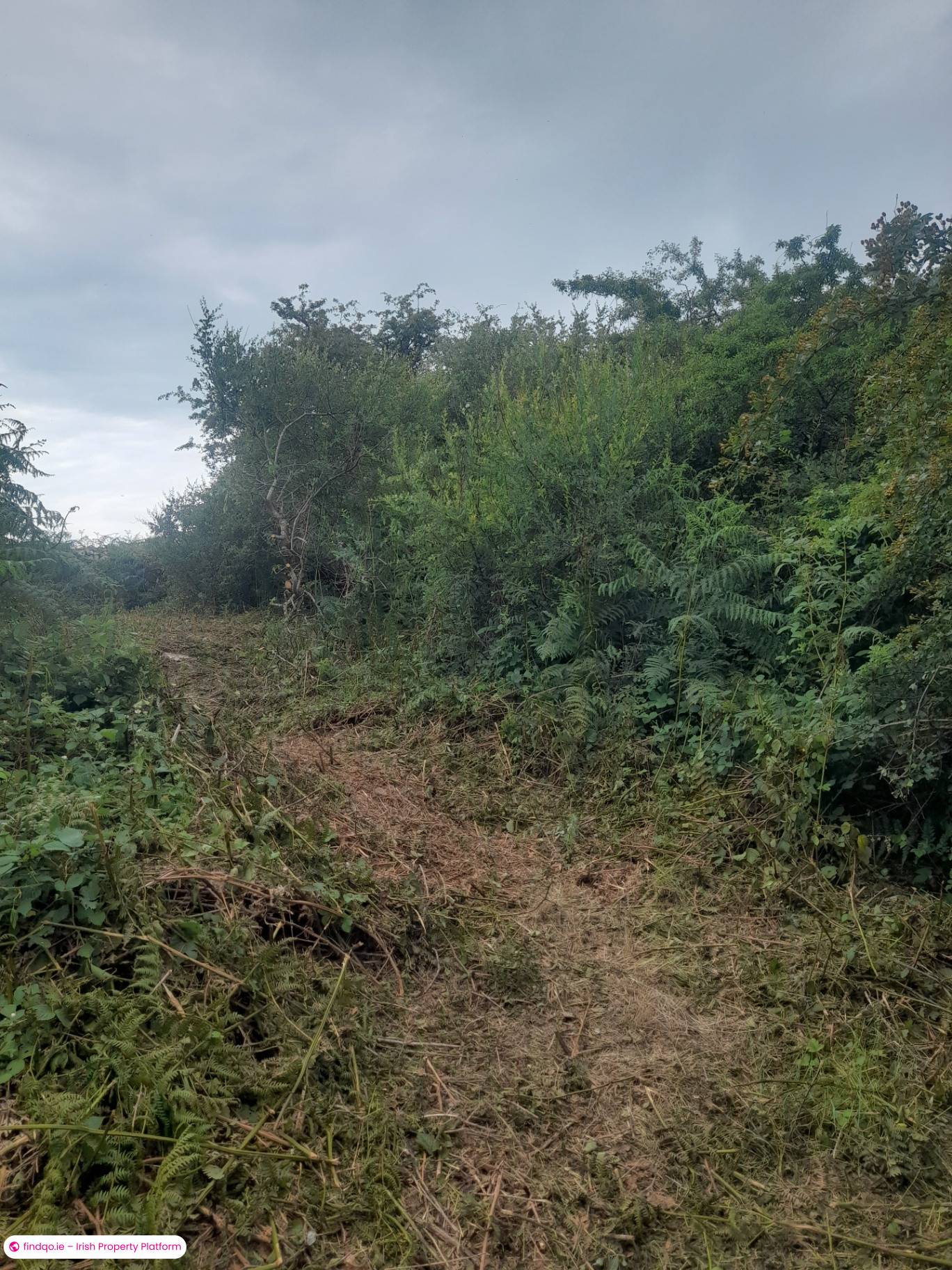 Site for Sale in Furbo, Galway