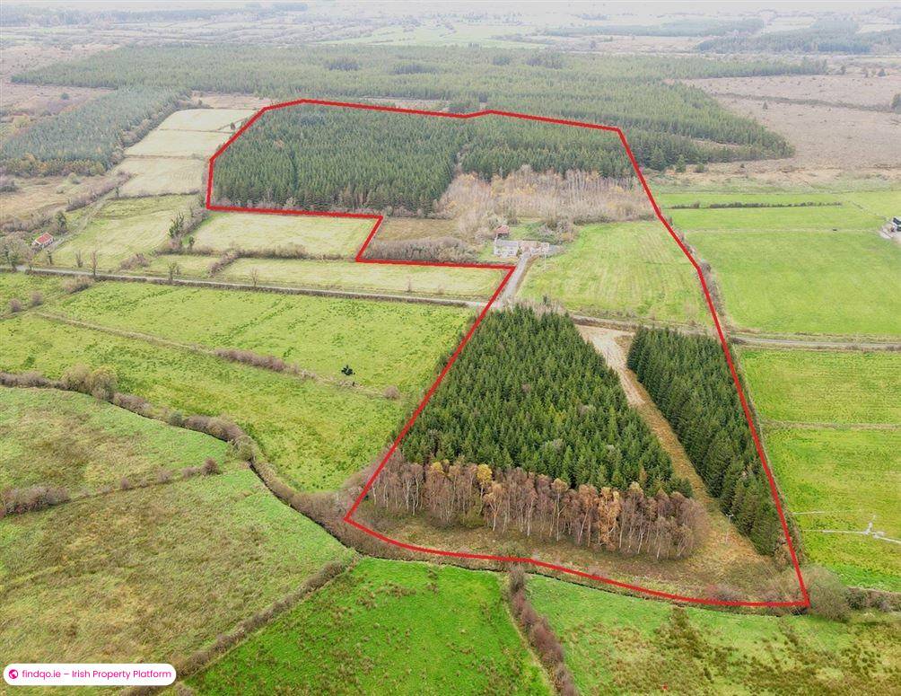 Detached house for Sale in Castlerea, Roscommon