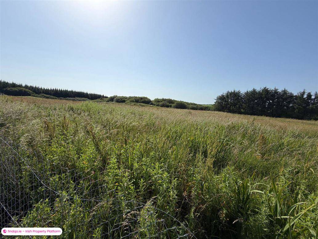 Detached house for Sale in Clohernagh, Waterford