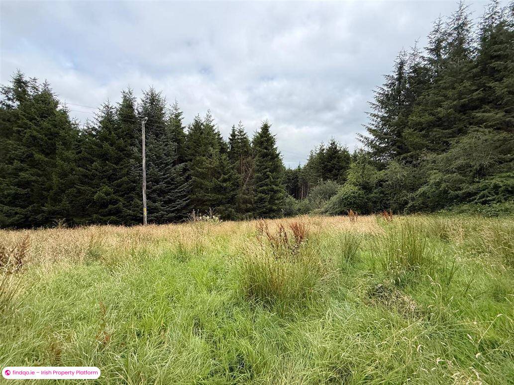Detached house for Sale in Ballaghaderreen, Roscommon