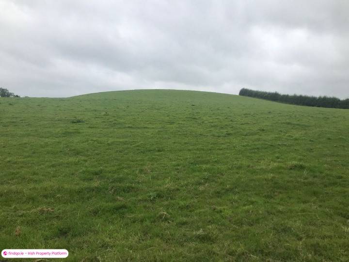 Agricultural Land for Sale in Monaghan, Monaghan