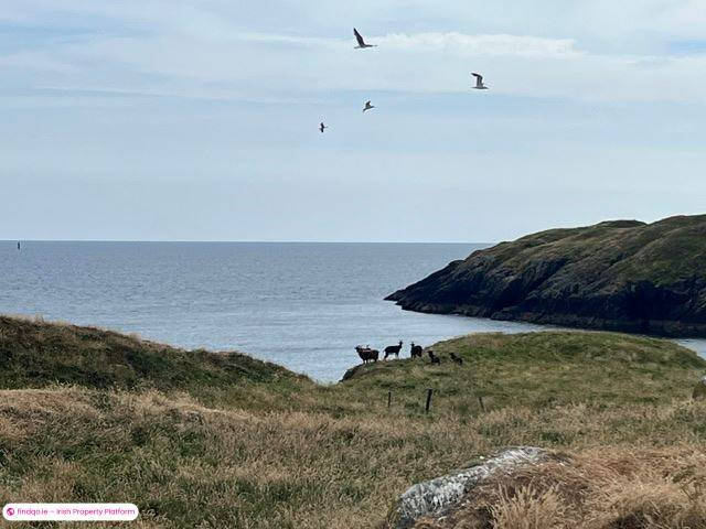 Detached house for Sale in Schull, Cork
