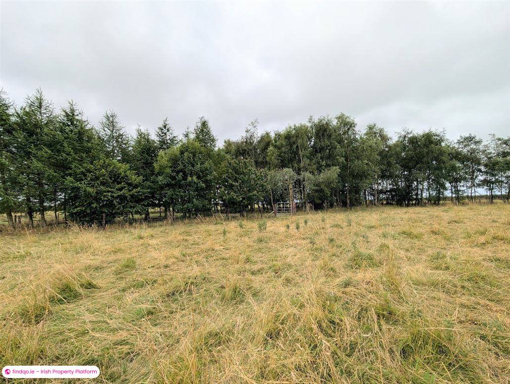 Detached house for Sale in Borrisokane, Tipperary