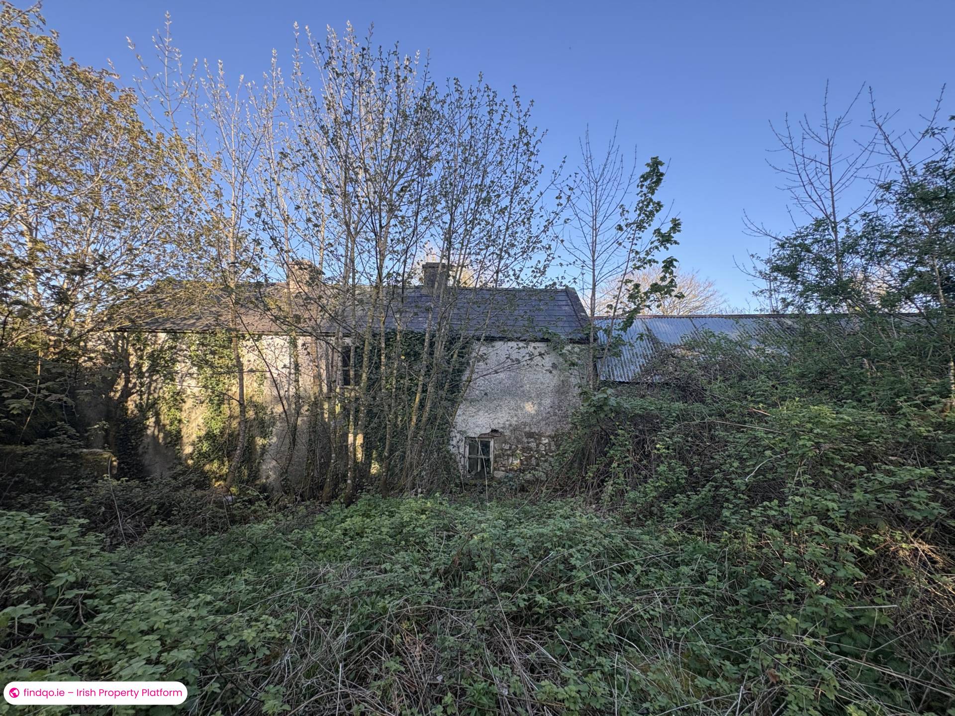 Detached house for Sale in Oldcastle, Cavan