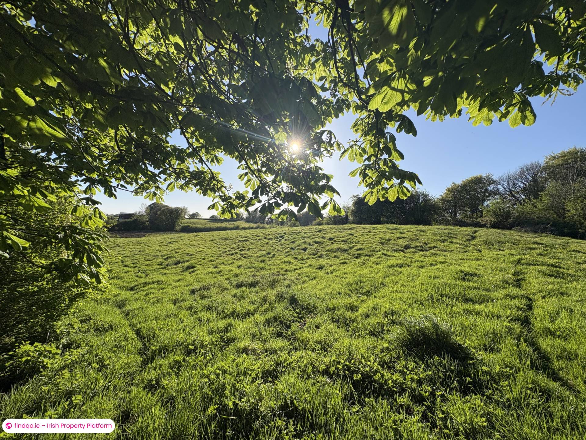 Detached house for Sale in Oldcastle, Cavan