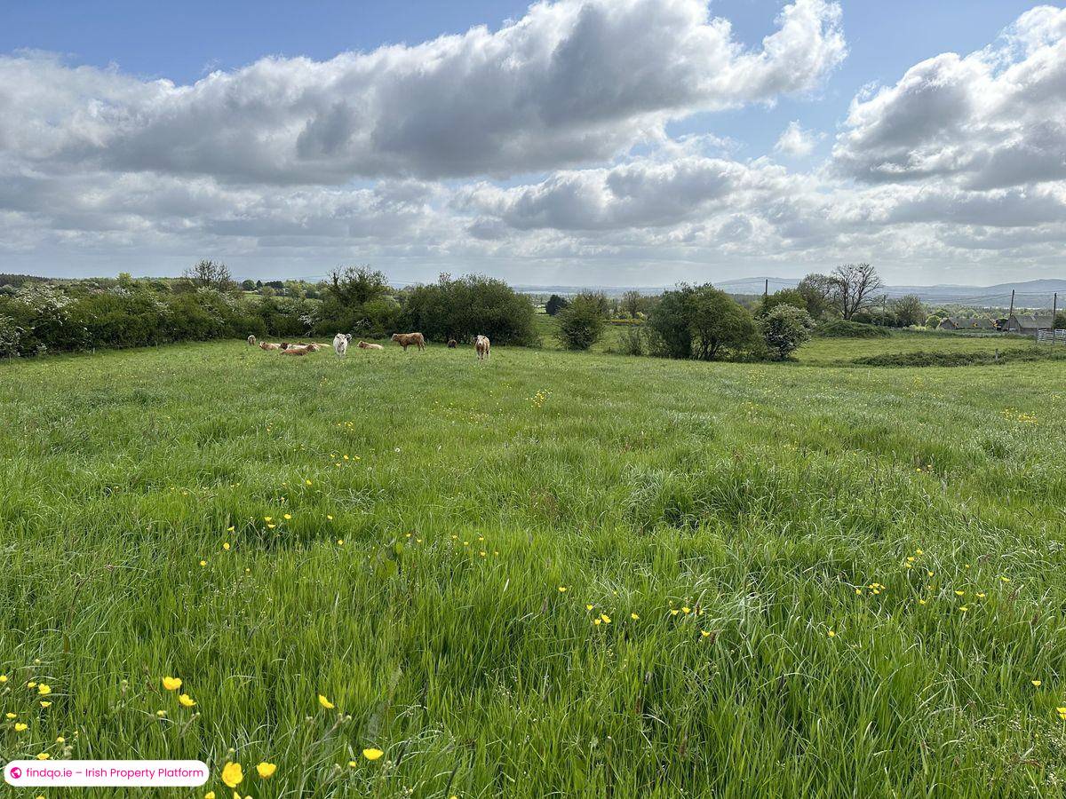 Development Land for Sale in Granard, Longford