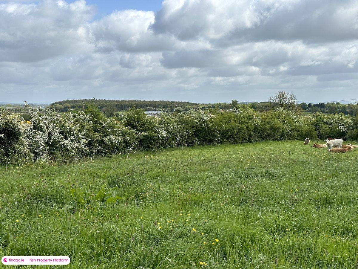 Development Land for Sale in Granard, Longford