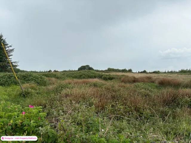 Site for Sale in Kilfenora, Clare