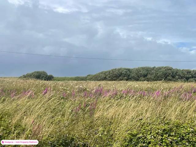 Buy a Premium Site in Ennis Clare