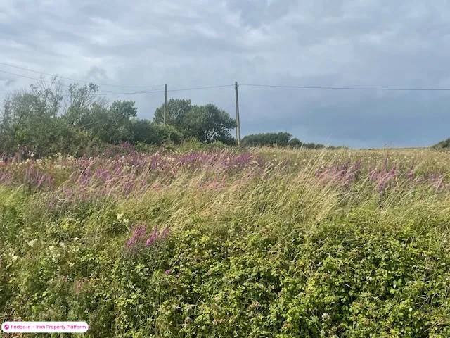 Site for Sale in Ennis, Clare