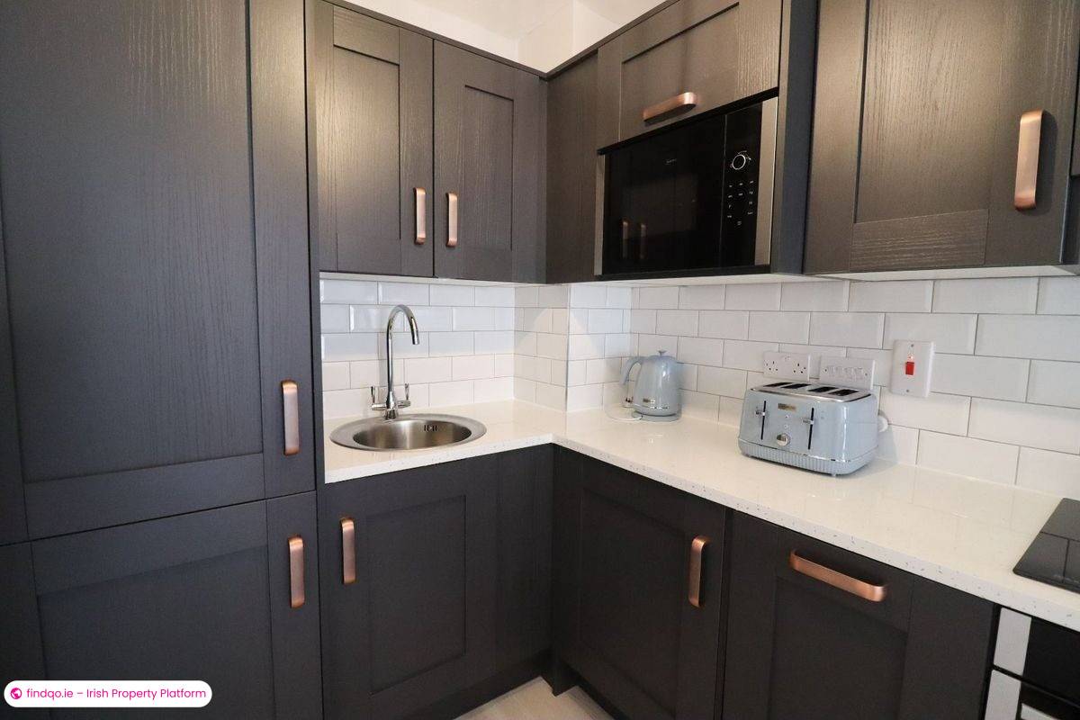 1 Bedroom Apartment for Rent in Dublin 1