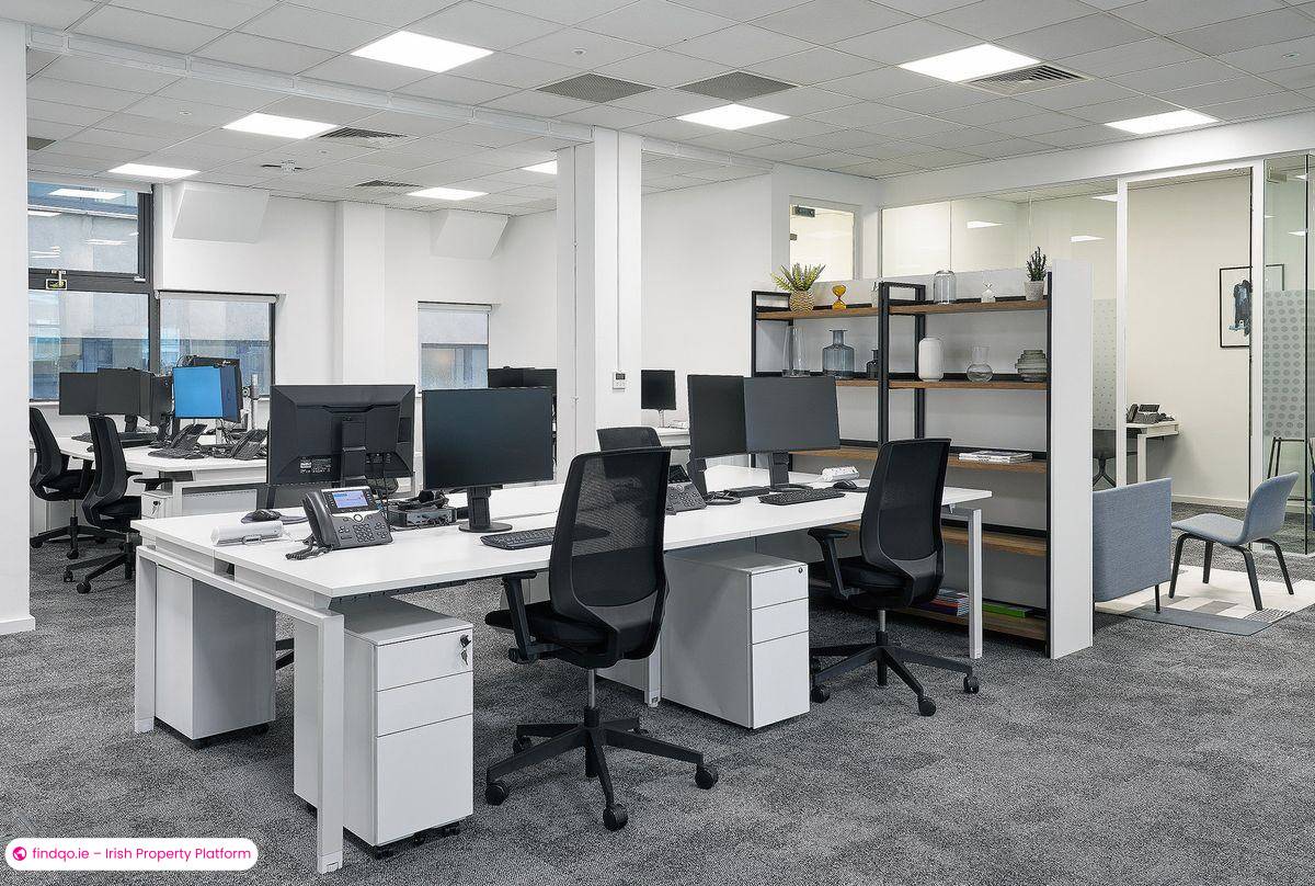 Office Space for Rent in Dublin 2