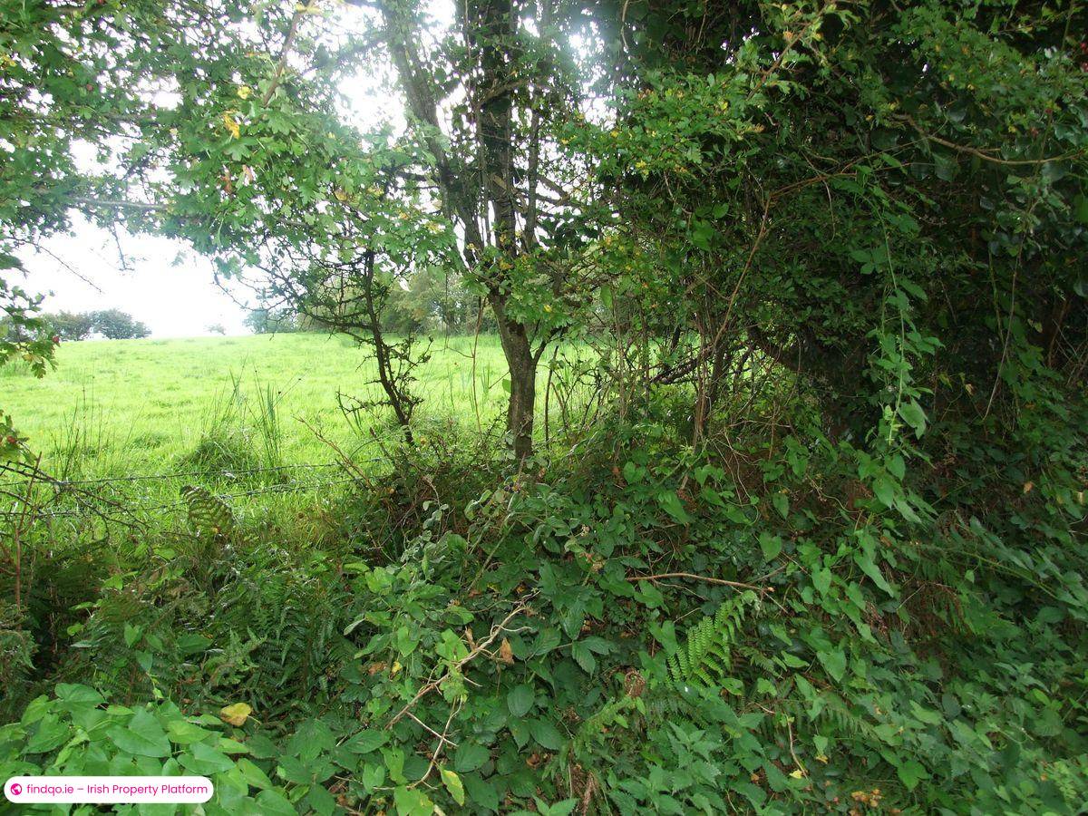 Site for Sale in Sligo, Sligo
