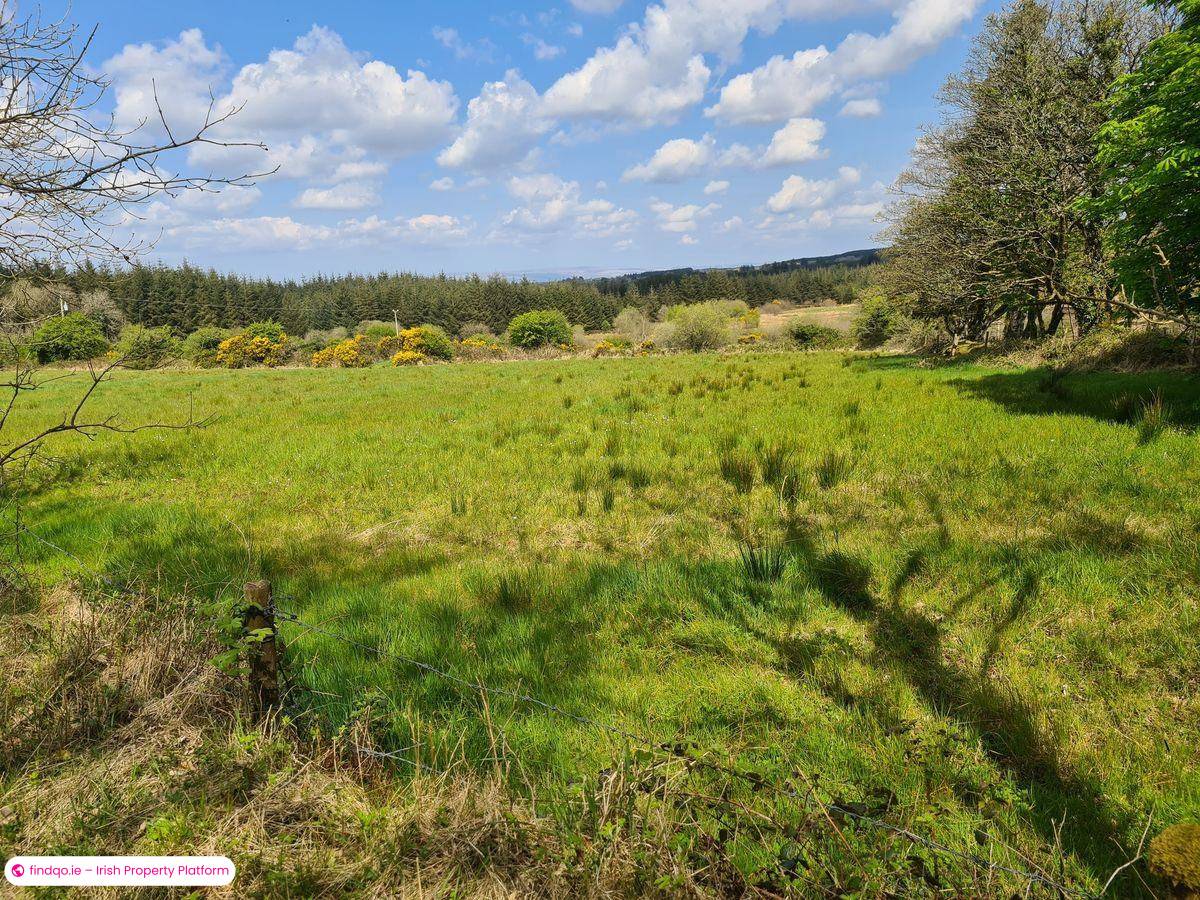 Site for Sale in Charlestown, Mayo
