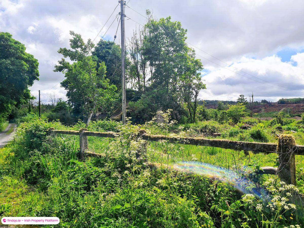 Buy a 3 Bedroom Detached House in Charlestown Mayo