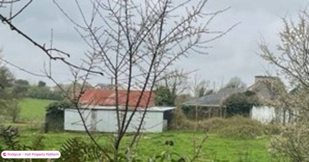 Buy a Cozy 3 Bedroom Detached House in Ballyhaunis Mayo