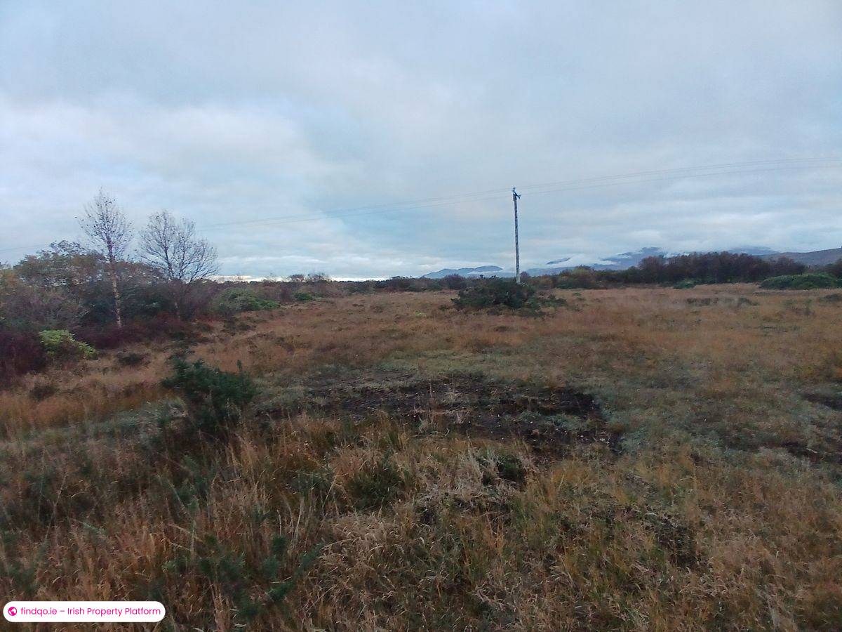 Agricultural Land for Sale in Killorglin, Kerry