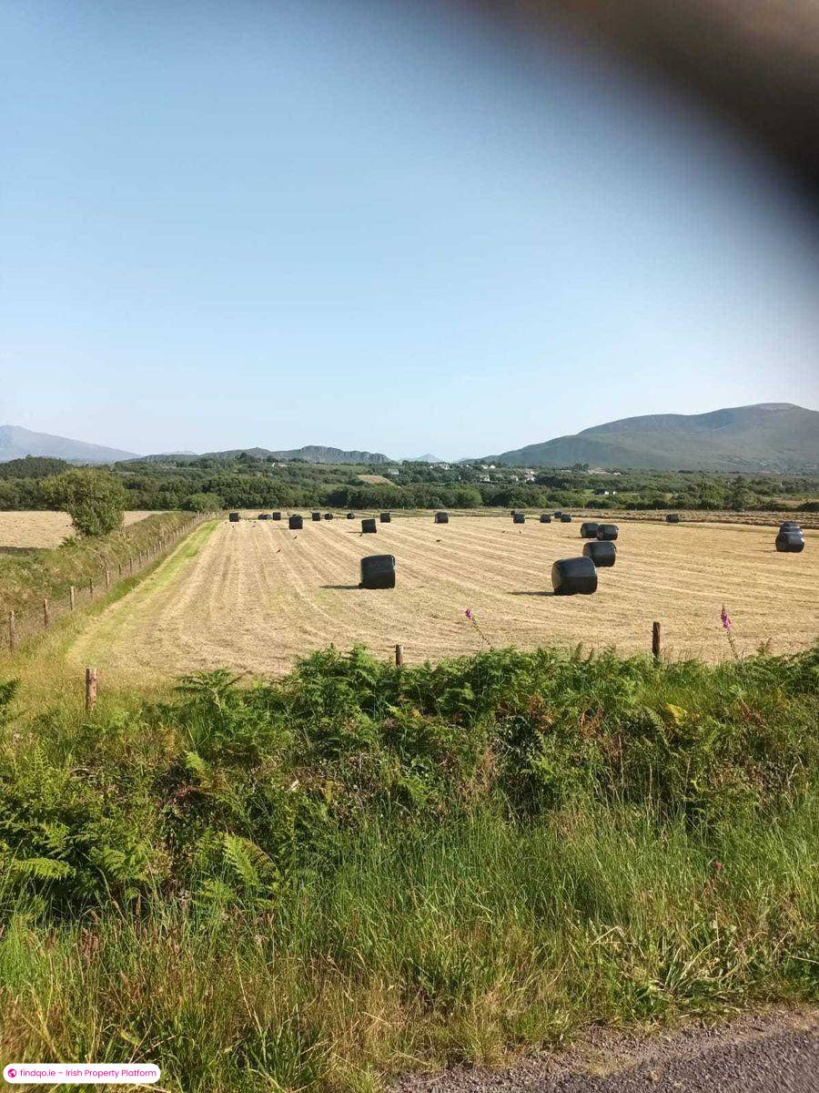 Buy Agricultural Land in Cromane Kerry