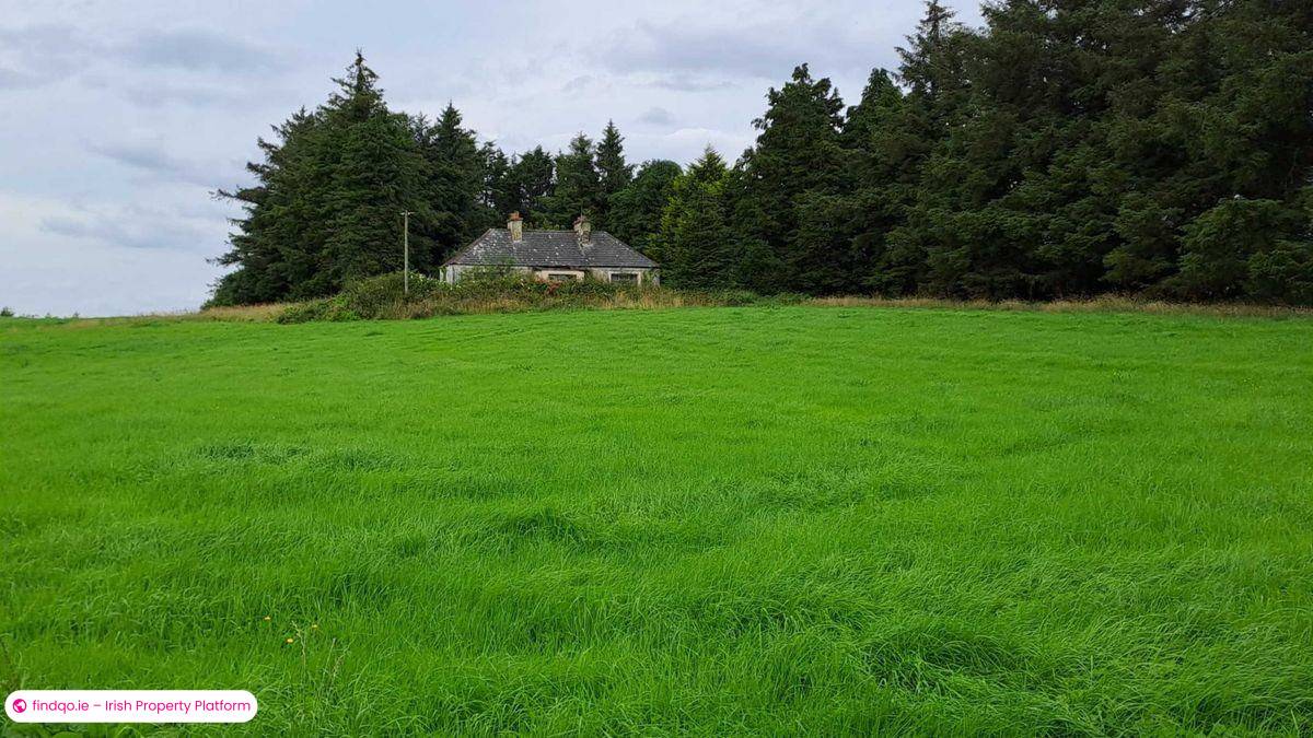 Buy Rich Agricultural Land in Ballyhaunis Mayo